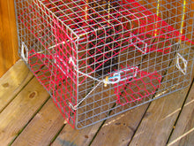 Load image into Gallery viewer, OceanBuilt Florida XL Blue Crab Trap with 6" White Buoy Kit – 18 x 24 x 24 Recreational Blue Crab Pot – Four-Throat Saltwater Crab Trap – Includes Buoy & 30' Rope – PVC Coated Wire Fishing Trap