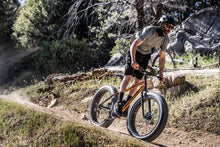 Load image into Gallery viewer, Fat Tire Mountain Bike for Adult Men Women, 26-Inch Wheels, Mechanical Disc Brakes, 17-Inch Steel Hardtail Frame, 7-Speed, Copper