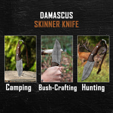 Load image into Gallery viewer, BISONBROS Damascus Hunting Knife 10 Inch – Fixed Blade Full Tang Knife with Leather Sheath – 288 Layer 1095 & 15N20 High Carbon Steel – Rosewood Handle Bushcraft Knife for Camping