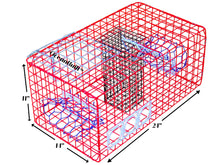 Load image into Gallery viewer, OceanBuilt Florida Blue Crab Trap & Crab Pot, Crab Net Alternative, Medium