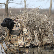 Load image into Gallery viewer, Momarsh Invisi Lab Dog Blind for Waterfowl Hunting | Adjustable Pet Blind for Dry or Wet Land Hunting & Training | Water Resistant Shell with Mesh Draining Bottom | Optifade Marsh