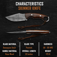 Load image into Gallery viewer, BISONBROS Damascus Hunting Knife 10 Inch – Fixed Blade Full Tang Knife with Leather Sheath – 288 Layer 1095 & 15N20 High Carbon Steel – Rosewood Handle Bushcraft Knife for Camping