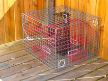 Load image into Gallery viewer, OceanBuilt Florida XL Blue Crab Trap with 6" White Buoy Kit – 18 x 24 x 24 Recreational Blue Crab Pot – Four-Throat Saltwater Crab Trap – Includes Buoy & 30' Rope – PVC Coated Wire Fishing Trap