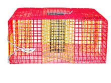 Load image into Gallery viewer, OceanBuilt Baitfish & Pinfish Traps – Durable Wire Fishing Traps – Multiple Mesh Sizes, Trap Sizes & Buoy Kit Options (1" Mesh – Large – Pinfish w/Buoy Kit)