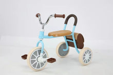 Load image into Gallery viewer, 45235280216294