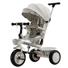 Load image into Gallery viewer, 45235336347878