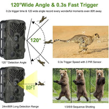 Load image into Gallery viewer, Suntekcam HC-810A Hunting Trail Camera Surveillance Wildlife Infrared Night Vision 24MP 1080P Wild Photo Traps