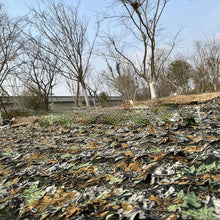 Load image into Gallery viewer, 3D Bionic Maple Leaf Camouflage Cloth Aerial Photography Camo Net Jungle Mine Concealment Cover Cloth Tree Blind