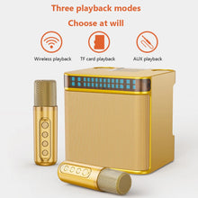 Load image into Gallery viewer, 100W Dual Microphone Karaoke Machine High-Power Portable Professional Karaoke PA Speaker System Outdoor Family Party Subwoofer