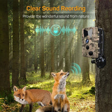 Load image into Gallery viewer, Outdoor Wildlife 20MP HD 1080P Trail Camera Night Vision Hunting Accessories IP66 Waterproof Wildlife Game Cam Thermal Scope