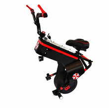 Load image into Gallery viewer, 45237921972454|45237922005222