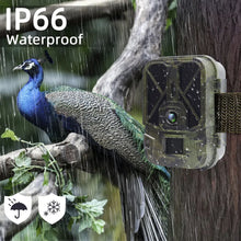 Load image into Gallery viewer, 4K 30MP Live Stream WiFi Trail Camera APP Bluetooth Hunting Cameras With 10000mAh Li-Battery Night Vision WiFi940PROLI