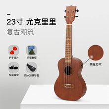 Load image into Gallery viewer, 45155324788966