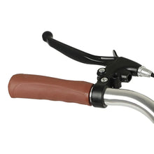 Load image into Gallery viewer, JayCreer 20 Inches Adult Tricycle Trike