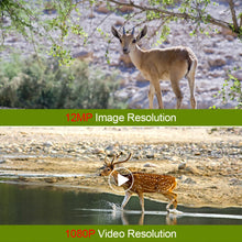 Load image into Gallery viewer, Mini Trail Game Camera Night Vision 1080P 12MP Waterproof Hunting Camera Outdoor Wild photo traps with IR LEDS Range Up To 65ft