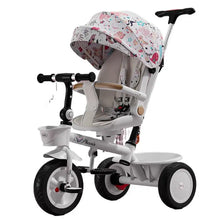 Load image into Gallery viewer, 45235336380646