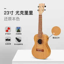 Load image into Gallery viewer, 45155324920038