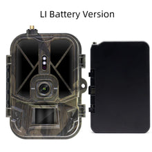 Load image into Gallery viewer, 45244982657254