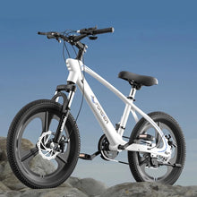 Load image into Gallery viewer, Cargo Bycycle Bicycle Suspension Kids Electric Speed Bicycle Sava Suron Bicileta De Ruta En Carbono Chariot De Transport