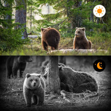 Load image into Gallery viewer, 24MP 1080P Video Wildlife Trail Camera Photo Trap Infrared Hunting Cameras HC802A Wildlife Wireless Surveillance Tracking Cams