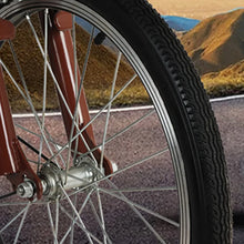 Load image into Gallery viewer, JayCreer 20 Inches Adult Tricycle Trike