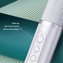 Load image into Gallery viewer, 100W Dual Microphone Karaoke Machine High-Power Portable Professional Karaoke PA Speaker System Outdoor Family Party Subwoofer