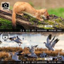 Load image into Gallery viewer, Outdoor Wildlife Camera 24MP Trail Camera Infrared Night Vision 0.3S Motion Activated Waterproof Trap Nature Wildlife Scouting