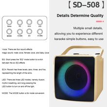 Load image into Gallery viewer, Dual Microphone Karaoke Machine Outdoor Portable Karaoke Bluetooth Speaker Box 10W HIFI Player with RGB LED Light for Home Party