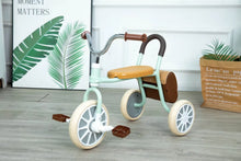 Load image into Gallery viewer, 45235280249062