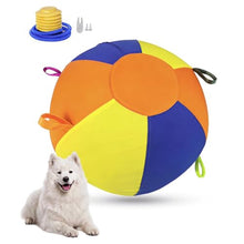Load image into Gallery viewer, WONGJON Herding Ball for Dogs 21.5 INCH Dog Ball for Medium &amp; Large Breeds
