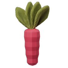 Load image into Gallery viewer, MewaJump Easter Toys Dog Squeaky Chew Toys for Aggressive Chewers, Rubber Carrot Dog Toys for Training and Cleaning, Durable Interactive Tough Dog Toy for Puppy Medium Dogs
