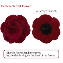 Load image into Gallery viewer, ARING PET Velvet Dog Collars, Christmas Red Soft Pet Collar with Detachable Felt Flower Metal Buckle for Puppy Small Medium Large Boy Girl Dogs-XS
