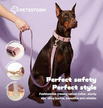 Load image into Gallery viewer, Dog Collar Personalized with Name Engraved - Light Gold Quick Release Buckle, Soft Velvet Lined, Comfortable Gift for Small, Medium, Large Dogs
