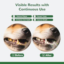 Load image into Gallery viewer, Vetriuntrix Dog Dental Powder, 150g Dental Powder for Dogs Teeth Cleaning and Breath Fresh, Dog Dental Care with Natural Enzymes, Probiotics, Tartar Remover and Plaque Off
