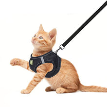 Load image into Gallery viewer, FEimaX Dog Harness and Leash Set, No Pull Breathable Soft Mesh Puppy Vest Harness Reflective Adjustable Pet Harnesses for Small Medium Dogs and Cats, Outdoor Easy Control for Walking
