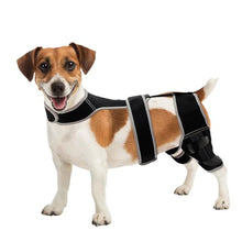 Load image into Gallery viewer, Snagle Paw Dog Knee Braces for Back Legs, ACL/CCL Support, M

