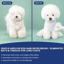 Load image into Gallery viewer, Professional Pet Grooming Dryer Brush – 3-in-1 Dog Blow Dryer with Slicker Brush, Adjustable Temp, Overheat Safe, Salon Quality
