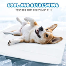 Load image into Gallery viewer, YAUNJI Dog Cooling Eco-Friendly Mat, 2026 New Portable Pet Cooling Pad for Dogs Cats Sleeping Mat for Home Outdoor, Washable Dog Water Bed for Bored Indoor Summer (Blue, Medium)
