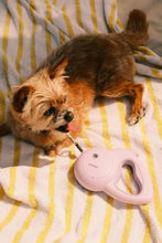 Load image into Gallery viewer, Barkly Dog Leash with Personal Safety Alarm for Women, Self Defense Siren &amp; LED Strobe | 130dB Panic Button | 13ft Retractable, Tangle Free, One Handed Brake (Dogs up to 44 lbs, Lilac)
