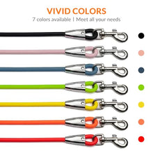 Load image into Gallery viewer, Léwind 8.2ft Hands Free Dog Leash,Versatile Waist &amp; Crossbody Lead for Medium Dogs,Waterproof &amp; Adjustable for Running Jogging Walking, 360° Swivel Metal Buckle (Orange)
