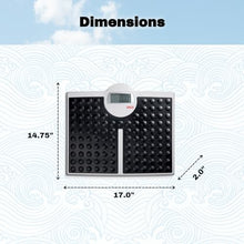 Load image into Gallery viewer, seca 813 - High Capacity Digital Flat Scale for Individual Patient use
