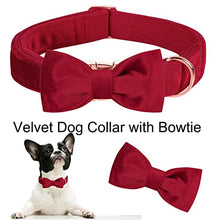 Load image into Gallery viewer, ARING PET Velvet Dog Collar-Soft Bowtie Dog Collars with Metal Buckle, Cute&amp;Comfortable Christmas Red Dog Collar with Bow for Small Medium Large Dogs

