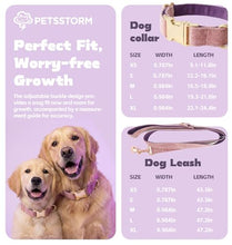 Load image into Gallery viewer, Dog Collar Personalized with Name Engraved - Light Gold Quick Release Buckle, Soft Velvet Lined, Comfortable Gift for Small, Medium, Large Dogs
