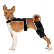 Load image into Gallery viewer, Snagle Paw Dog Knee Braces for Back Legs, ACL/CCL Support, L
