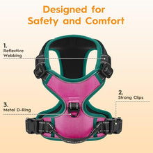 Load image into Gallery viewer, No Pull Dog Harness, No-Choke Soft Padded Reflective Dog Vest Harness with Front Clip &amp; Top Handle, 2 Quick-Release Buckles, Adjustable for Small Medium Large Dogs
