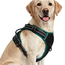 Load image into Gallery viewer, No Pull Dog Harness, No-Choke Soft Padded Reflective Dog Vest Harness with Front Clip &amp; Top Handle, 2 Quick-Release Buckles, Adjustable for Small Medium Large Dogs

