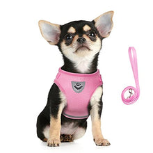 Load image into Gallery viewer, FEimaX Dog Harness and Leash Set for Walking, Soft Mesh Adjustable Easy Control Lightweight Cat Vest Harnesses with Reflective Strips, Escape Proof Small Dogs Cats Vests

