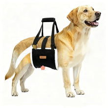 Load image into Gallery viewer, Dog Lift Harness Sling for Large Dogs - Adjustable Rear Leg Support with Padding &amp; No-Slip Back Fixed Buckle, Hip Dysplasia/ACL/TPLO Surgery Recovery Aid, Dog Harness for Injured,Disabled/Senior Dogs
