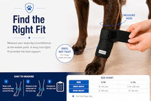Load image into Gallery viewer, Labra Dog Front Leg Brace - Compression Wrap with Adjustable Straps - Dog Wrist Brace for Support - Leg Sleeve to Stop Licking - Aid in Wound Care and Recovery - Large/Extra Large
