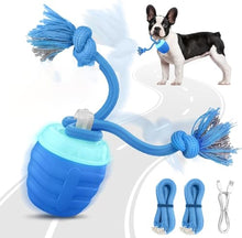 Load image into Gallery viewer, Akpsid Interactive Dog Toys Touch Activated Bouncing &amp; Jumping Dog Ball with Rope, Squeaky Doggie Toys to Keep Them Busy
